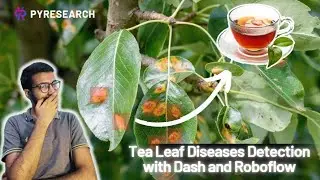 How to Detect Tea Leaf Diseases with Dash and Roboflow