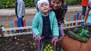 Детский сад 54 урожайная осень в детском саду МИШУТКА