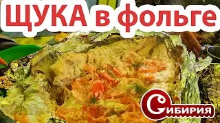 ЩУКА ПО-БРАТСКИ В ФОЛЬГЕ! Готовим на углях! Рецепты Андрей СИБИРИЯ