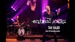 Animal ДжаZ — Так надо (Live @ Мой музыкальный)