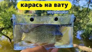 #мормышинг | Карась в корягах на вату | Gamakatsu Ten S48AL-solid |