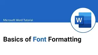 Basics of Font Formatting | MS Word Tutorial