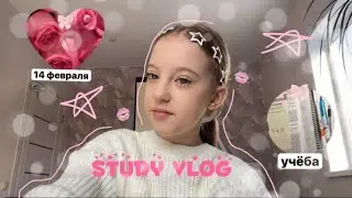 study vlog📚/школьный влог/учись вместе со мной🤍