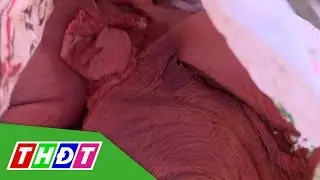THDT - Phát hiện hộ dân giết mổ, tiêu thụ thịt heo bệnh