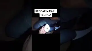 ngilu rasanya#youtubeshort#short#tiktokfyp#tiktok