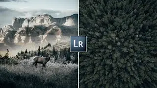 How to Edit Landscape Photos on Lightroom