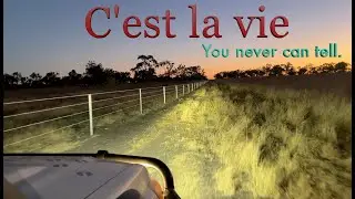 C'est la vie: You never can tell