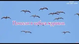 ПОЗДРАВЛЕНИЕ С ПРАЗДНИКОМ БЕЛЫХ ЖУРАВЛЕЙ 22 ОКТЯБРЯ