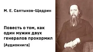 М  Е  Салтыков Щедрин Повесть о том, как один мужик двух генералов прокормил Аудиокнига Слушать Онла