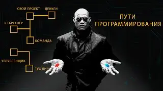 Пути программирования / Типы программистов