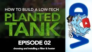 How to Build a Low-Tech Planted Tank • Episode 02 | BigAlsPets.com