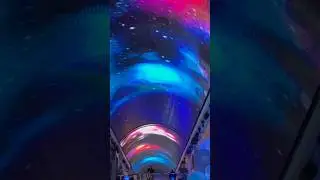 MSC cruise light show!!!