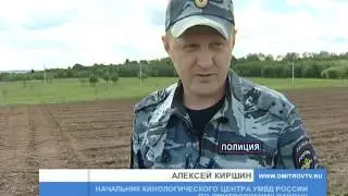 21 июня отмечается День кинологических подразделений России