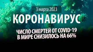 Смертность от ковида в мире уменьшилась на 66%. Статистика коронавируса в России на 3 марта 2023