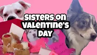 Sisters on Valentine’s Day