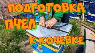 Подготовка пчел к кочевке.