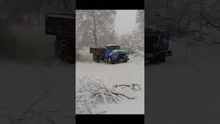 Выехали за дровами . Полное видео скоро будет на канале.