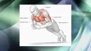 Let your body be the gym with Bodyweight Strength Training Anatomy