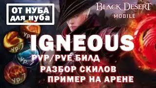 [Black Desert Mobile] Гайд по Игниусу / От нуба для нуба