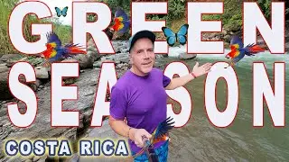 Rainy Season Uvita Costa Rica best time to visit!