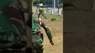 dikejar pak tentara