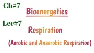 Cellular Respiration in urdu/Hindi