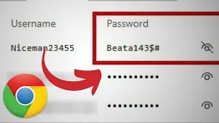 How To View Google Chrome SAVED Passwords