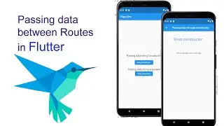 Passing Data between Routes Flutter(Arabic)-  تمرير بيانات بين الصفحات في فلاتر