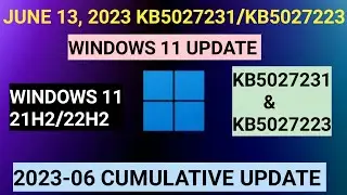 2023-06 Cumulative Update for Windows 11 Version 22H2 | 21H2 | KB5027231 | KB5027223 |