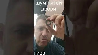 скрип пятой двери