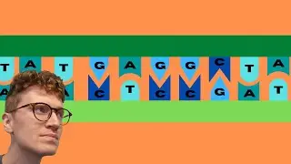 DNA EXPLAINED FOR BEGINNERS