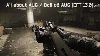 All about AUG / Всё о AUG (EFT 13.0)