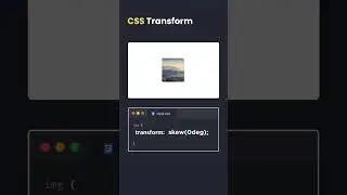 CSS Transform Property | CSS Transform Property Explained With Animation