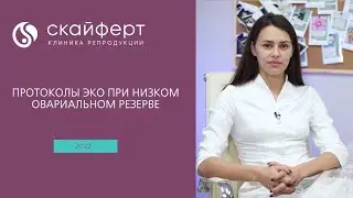 Протоколы ЭКО при низком овариальном резерве: ЭКО в естественном цикле, двойная стимуляция DuoStim