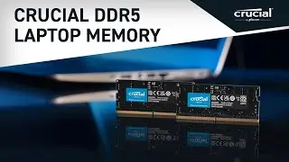 Crucial DDR5 Laptop Memory: Powering extreme on-the-go performance