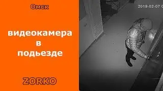 Камеру видеонаблюдения установили в подъезде в Омске системы видеонаблюдения ZORKO