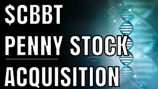 $CBBT Cerebain Biotech Penny Stock | MASSIVE Acquisition Catalyst!