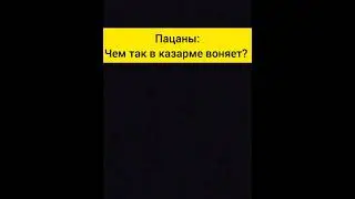 Армейские дни