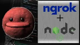 Build and Expose Your Node.js API with ngrok: A Step-by-Step Coding Tutorial