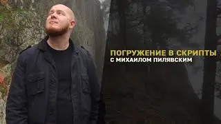 Погружение в скрипты Reaper (Михаил Пилявский)