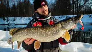 Преднерестовый жор щуки уже начался!? Ловля на малой реке весной, зимний спиннинг [Пора ловить щуку]