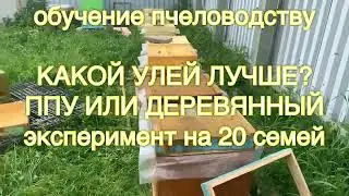 Какой улей лучше? ППУ или деревянный?