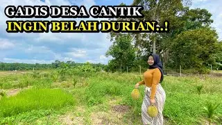 GADIS DESA CANTIK BELAH DURIAN SAAT MUSIM BUAH DURIAN DI KAMPUNG DURIAN RUNTUH.