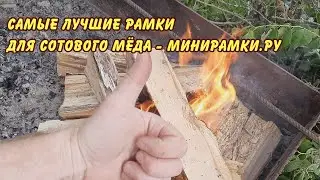 пчеловодство, самые лучшие рамки для сотового меда минирамки.ру