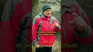 Бесплатное средство от фитофтороза у вас под ногами