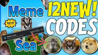 ⚡️HURRY UP⚡️MEME SEA ROBLOX CODES JULY 2024 - MEME SEA CODES - CODES MEME SEA