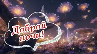 Доброй ночи!