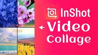 Video Collage | InShot Video Editor | How to Make a Multi Screen Video