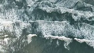 Padre Island National Seashore