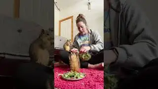 Woman Eats Salad With Rescued Squirrels